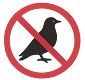 Bird Control