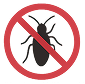 Cockroach Control
